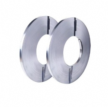 Stainless Steel Strip
